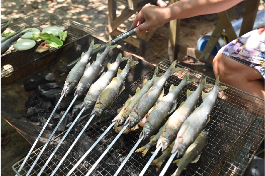 バーベキュー大会