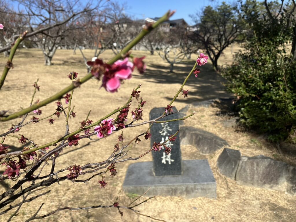 現在の画像に代替テキストがありません。ファイル名: IMG_0367.jpg